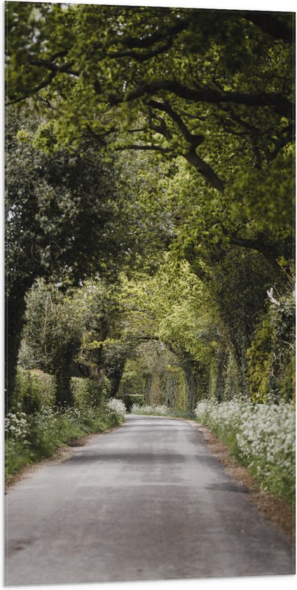 WallClassics - Vlag - Weg door de Natuur - 50x100 cm Foto op Polyester Vlag