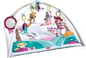 Bol.com Tiny Love Babygym Gymini Deluxe - Princess Tales aanbieding