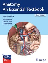 Thieme Illustrated Reviews- Anatomy - An Essential Textbook