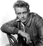 Poster / Papier - Filmsterren - Retro / Vintage - Elvis Presley in wit / grijs / zwart - 40 x 60 cm