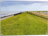 Tuinposter – Dijk met Koeien langs de Noordzee in Nederland - 80x60 cm Foto op Tuinposter (wanddecoratie voor buiten en binnen)