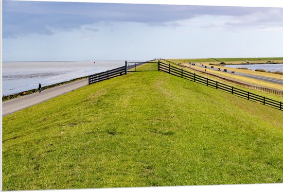 PVC Schuimplaat- Dijk met Koeien langs de Noordzee in Nederland - 120x80 cm Foto op PVC Schuimplaat