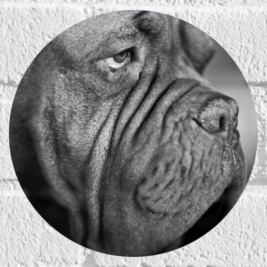 WallClassics - Muursticker Cirkel - Kwijlende Hond (Zwart- wit) - 20x20 cm Foto op Muursticker