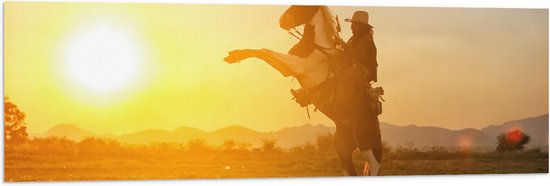 Vlag - Felle Grote Zon achter Stijgerend Paard met Cowboy - 120x40 cm Foto op Polyester Vlag