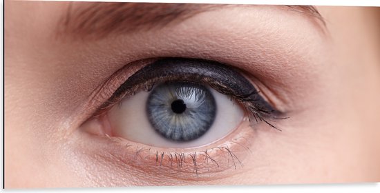 Dibond - Close-up van Opgemaakt Blauwkleurig oog - 100x50 cm Foto op Aluminium (Met Ophangsysteem)