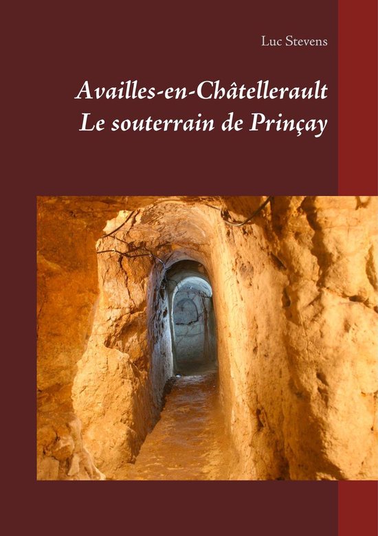 Le souterrain de Prinçay - cover