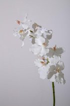Orchidee Vanda - zijden bloem 1 stuk - wit - topkwaliteit - 84cm