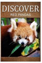 Red Pandas - Discover