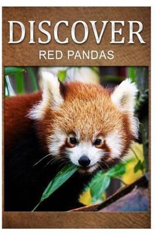 Red Pandas - Discover - cover