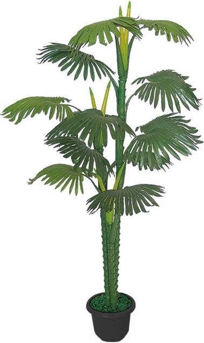 Palmboom 160 cm