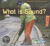 What Is Sound?