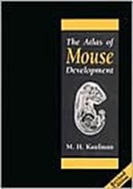 Atlas Of Mouse Development