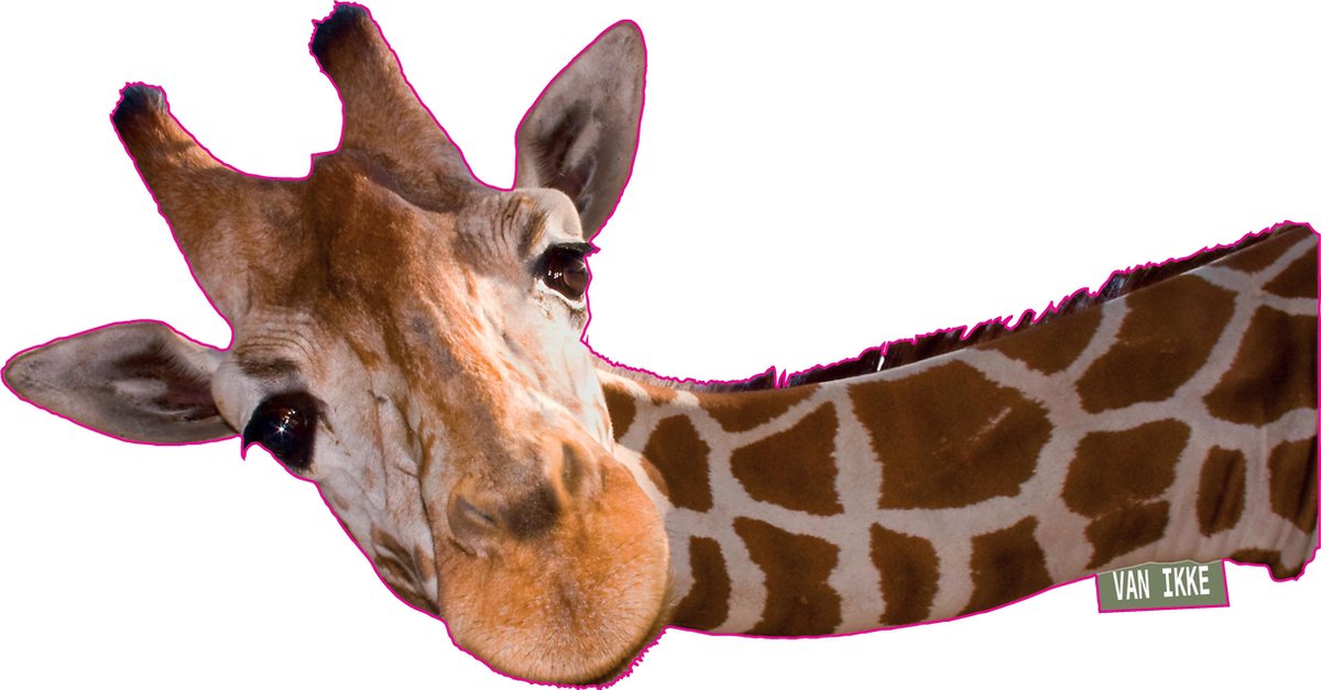 Strijkapplicatie Zebra met paraplu