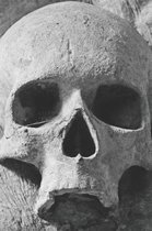 Skeleton Skull Gothic Notebook