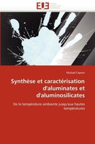 Synthèse et caractérisation d'aluminates et d'aluminosilicates