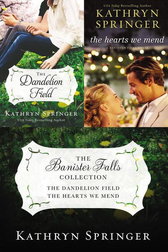 A Banister Falls Novel - The Banister Falls Collection - cover