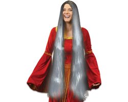 Witbaard Pruik Lady Godiva Polyester Grijs One-size