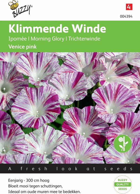 Buzzy® Ipomoea Tricolor Venice Pink