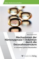 Mechanismen der Hamoxygenase-1 Induktion durch die Docosahexaensaure