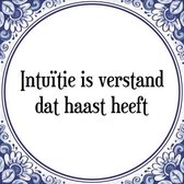 Tegeltje met Spreuk (Tegeltjeswijsheid): Intu�tie is verstand dat haast heeft + Kado verpakking & Plakhanger