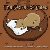 The Secret of Sleep