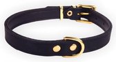 Dog's Companion - Leren hondenhalsband gold, exclusive - Lengte: 75cm (52-67cmx40 mm), Kleur: Zwart