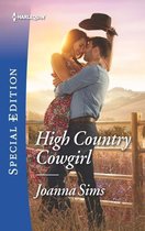 The Brands of Montana 8 - High Country Cowgirl