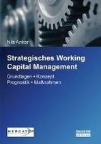 Anker, N: Strategisches Working Capital Management