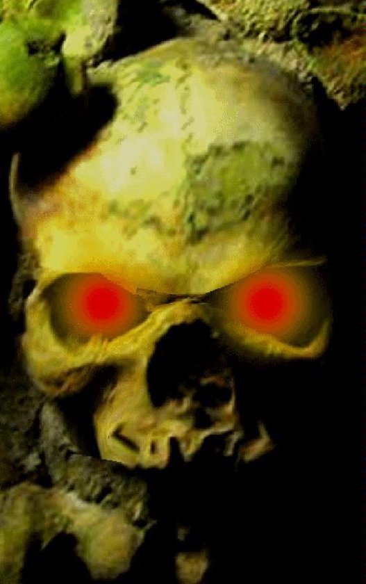 Cover van het boek 'Boodschap uit de hel' van Remo Pideg