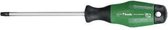 Schroevendraaier torx 25