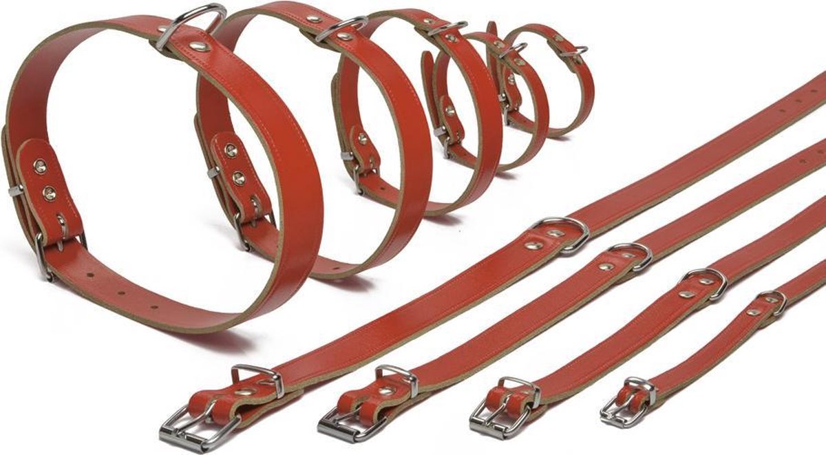 Beeztees Halsbanden - Rood - Leer - 18 mm