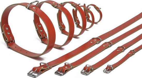 Foto: Beeztees halsband hond leer rood 32 37 cm x 16 mm