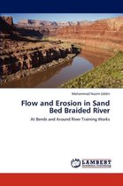 Flow and Erosion in Sand Bed Braided River
