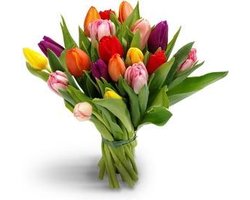 25 mix tulpen boeket