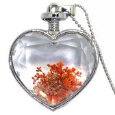 Prachtige ketting met echte gedroogde bloemetjes - oranje