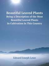 Beautiful Leaved Plants Being a Description of the Most Beautiful Leaved Plants In Cultivation In This Country