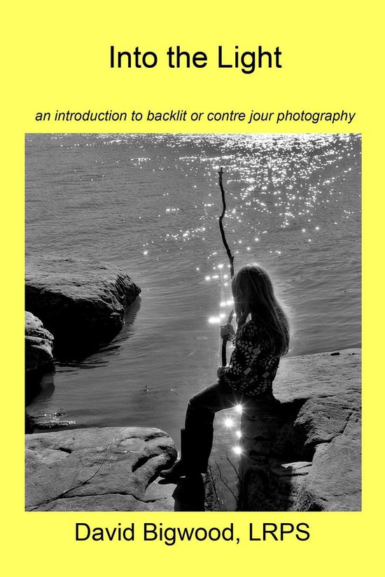 Into the Light - cover