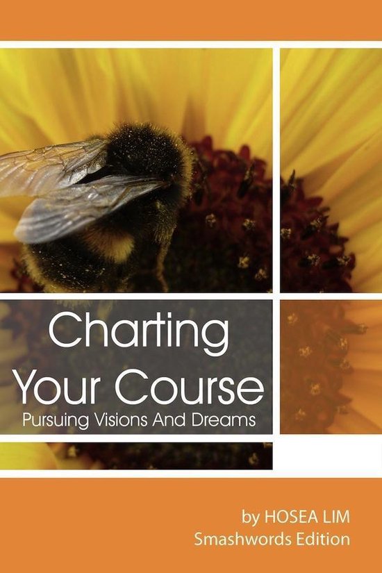Charting Your Course (ebook), Hosea Lim  9781465807038  Boeken  bol.com