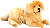 Bicolini Knuffelhond Liggende Golden Retriever 60 Cm