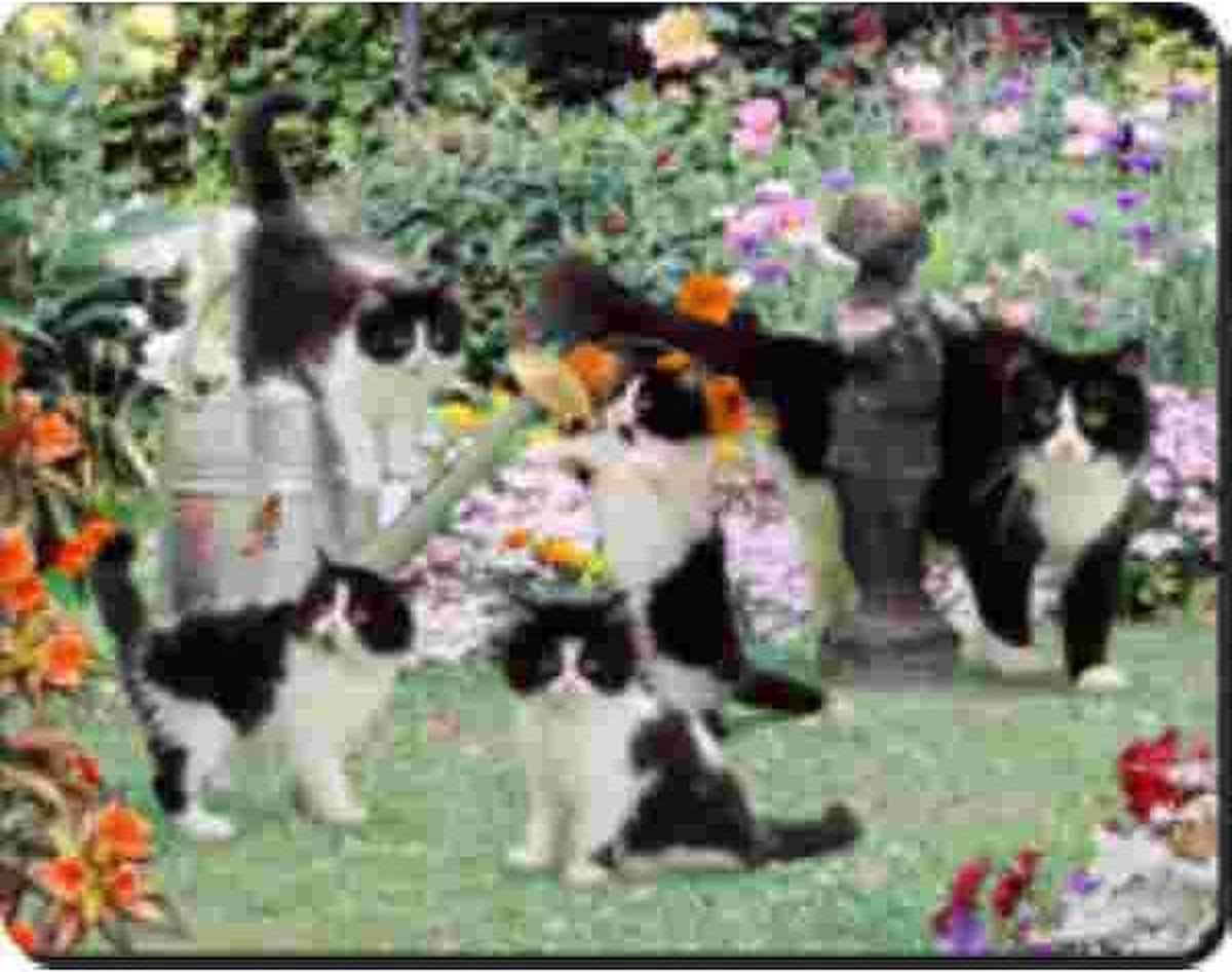 Kattenfamilie met gieter Muismat