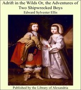 Adrift in the Wilds Or, the Adventures of Two Shipwrecked Boys
