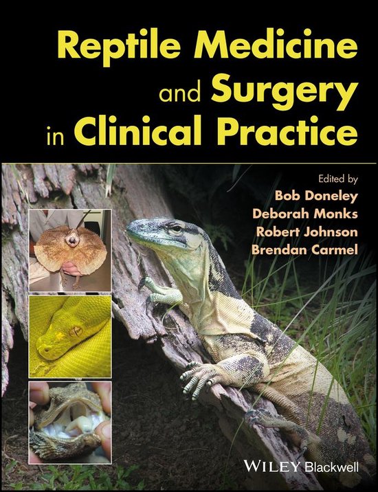 Reptile Medicine and Surgery in Clinical Practice - cover