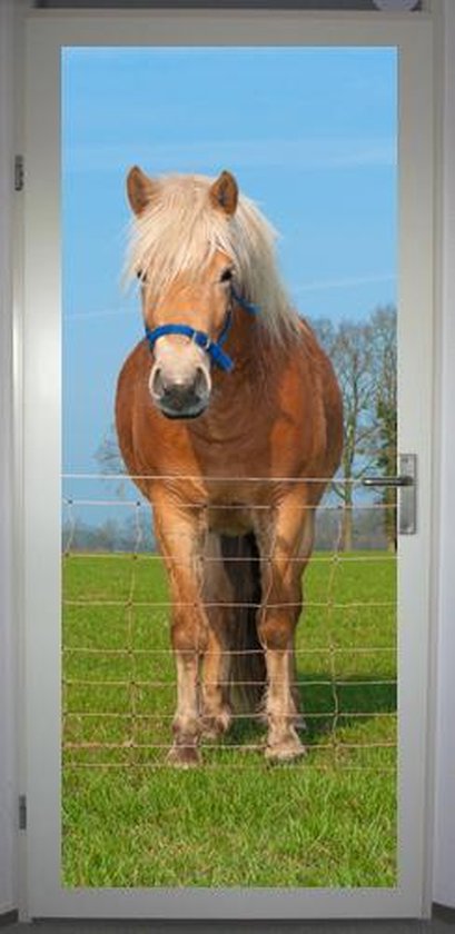 Maxim Recreatie Volg ons Deurposter 'Paard 3' - deursticker 75x195 cm | bol.com