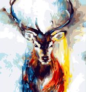 Verf op nummer - paint by numbers een hert met speciale kleuren en witte omgeving - 40x50cm