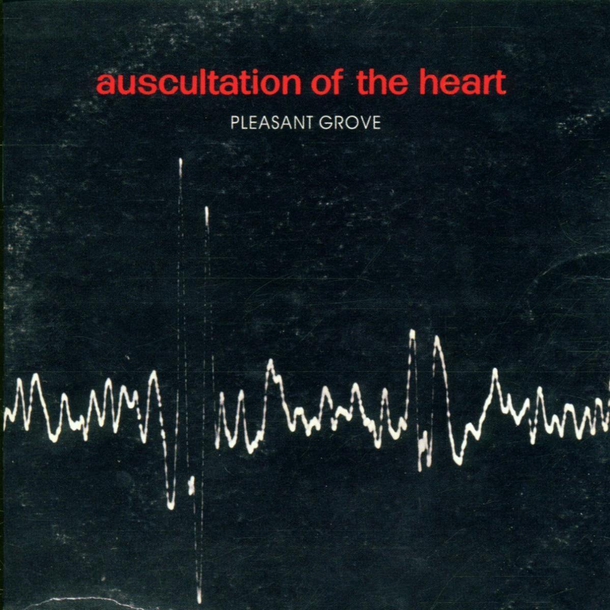 Auscultation Of The Heart