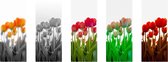 Canvas Schilderij, 5 Shades of Tulip