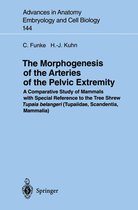 Advances in Anatomy, Embryology and Cell Biology 144 - The Morphogenesis of the Arteries of the Pelvic Extremity