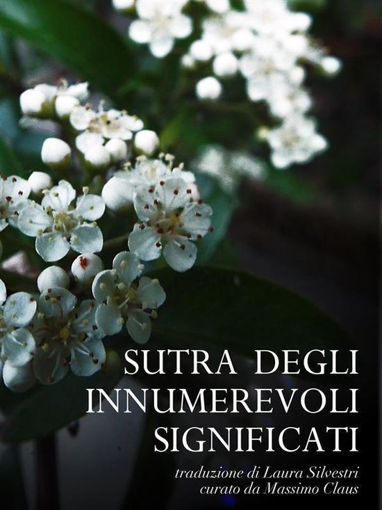 Sutra degli Innumerevoli Significati - cover