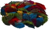 100x Gekleurde parelhoen veren - Vogel decoratie veertjes - hobby veren