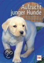 Aufzucht junger Hunde